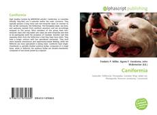 Bookcover of Caniformia