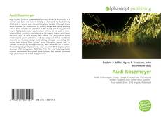 Audi Rosemeyer的封面