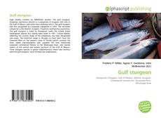 Borítókép a  Gulf sturgeon - hoz