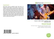 Capa do livro de Giant Sand 