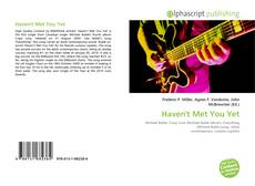 Capa do livro de Haven't Met You Yet 