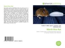 Bookcover of Marsh Rice Rat