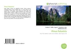 Borítókép a  Pinus Palustris - hoz