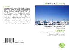 Couverture de Labrador
