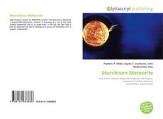 Couverture de Murchison Meteorite