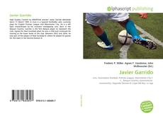 Capa do livro de Javier Garrido 