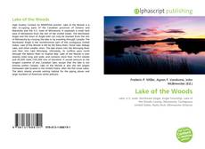 Capa do livro de Lake of the Woods 