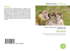 Borítókép a  Macaque - hoz