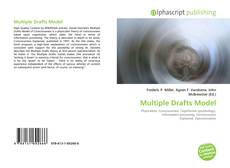 Borítókép a  Multiple Drafts Model - hoz