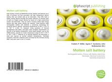 Borítókép a  Molten salt battery - hoz