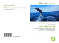 Borítókép a  Irrawaddy Dolphin - hoz