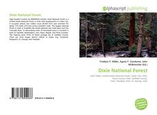 Borítókép a  Dixie National Forest - hoz