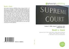 Capa do livro de Bush v. Gore 