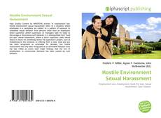 Hostile Environment Sexual Harassment kitap kapağı