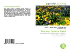 Buchcover von Acolman (Mexico State)