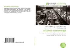 Bruckner Interchange的封面
