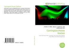 Buchcover von Carrington Power Station