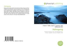 Capa do livro de Holmgang 