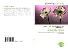 Buchcover von Capacity Factor