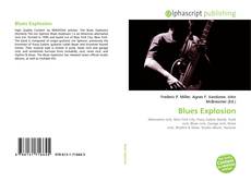 Capa do livro de Blues Explosion 