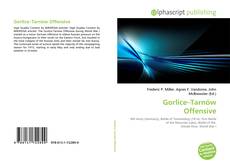 Couverture de Gorlice–Tarnów Offensive