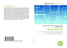 Bookcover of Brawn BGP 001