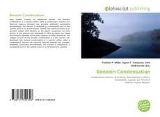 Borítókép a  Benzoin Condensation - hoz