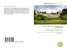Bookcover of Babruysk Fortress