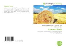 Buchcover von Calumet Farm
