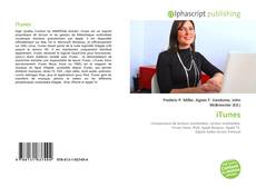 Buchcover von iTunes