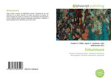 Buchcover von Enluminure