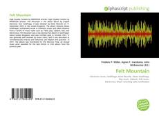 Buchcover von Felt Mountain