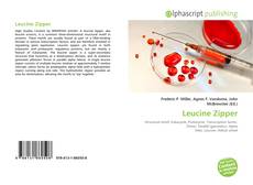 Portada del libro de Leucine Zipper