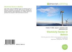Bookcover of Electricity Sector in Bolivia