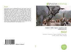Buchcover von Bosal