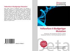 Yellowface II Budgerigar Mutation kitap kapağı