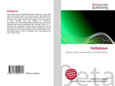 Bookcover of Vellakinar