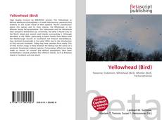 Yellowhead (Bird)的封面