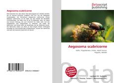 Bookcover of Aegosoma scabricorne