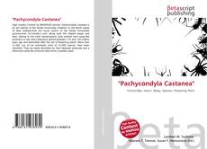 Bookcover of ''Pachycondyla Castanea''