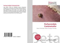 Pachycondyla Castaneicolor kitap kapağı
