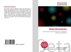 Capa do livro de Wola Brzostecka 