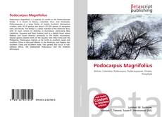 Couverture de Podocarpus Magnifolius