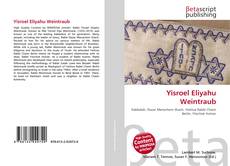 Capa do livro de Yisroel Eliyahu Weintraub 