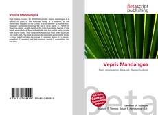 Capa do livro de Vepris Mandangoa 