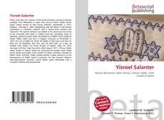 Copertina di Yisroel Salanter