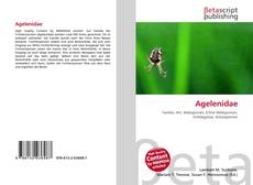 Couverture de Agelenidae