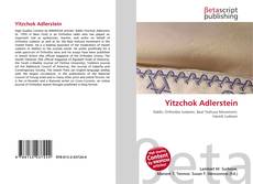 Yitzchok Adlerstein的封面