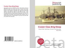 Bookcover of Cruizer Class Brig-Sloop