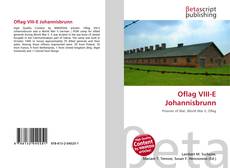 Capa do livro de Oflag VIII-E Johannisbrunn 